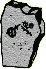 Eine zerbrochene Rose